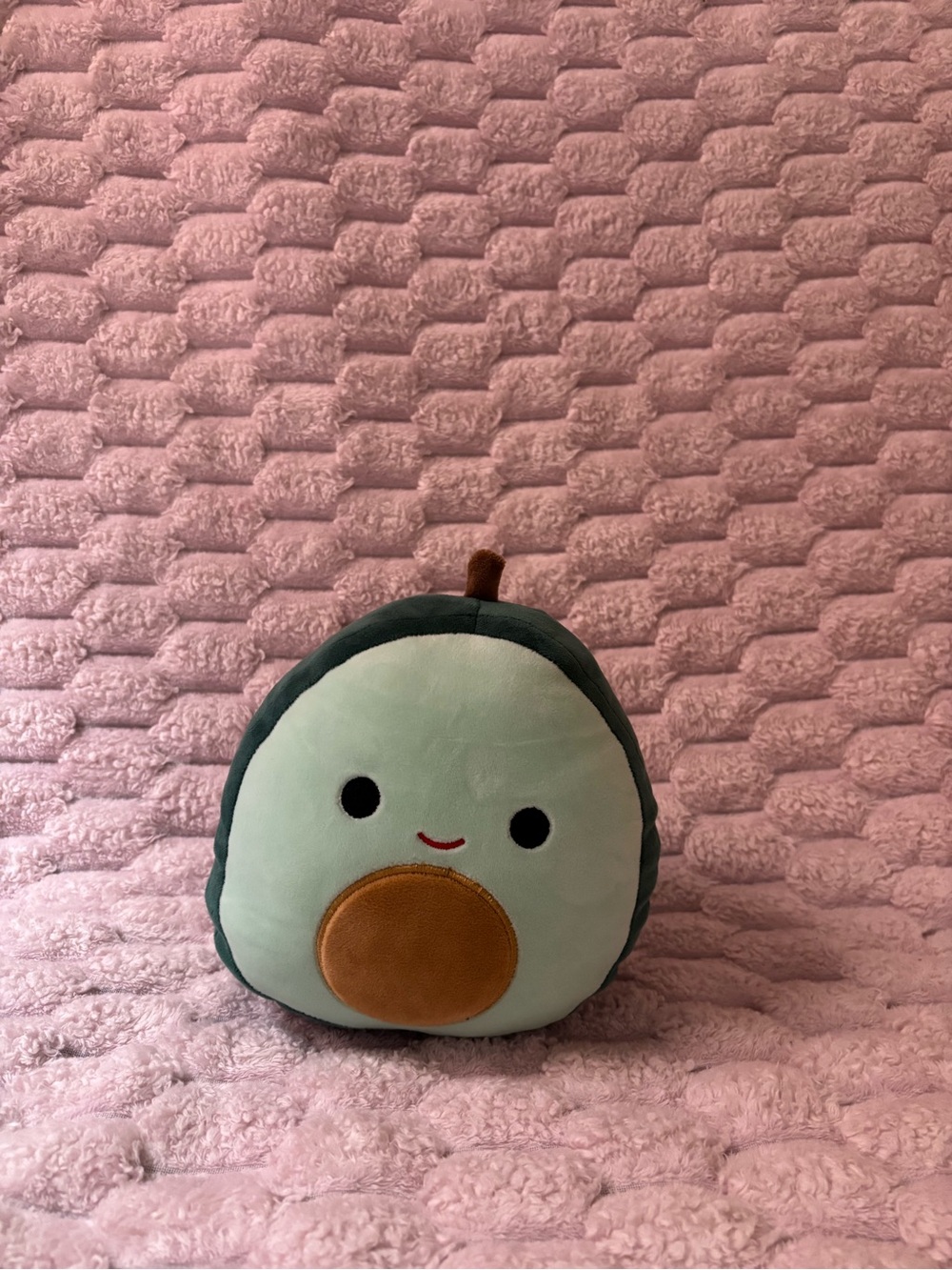 squishmallow avocado